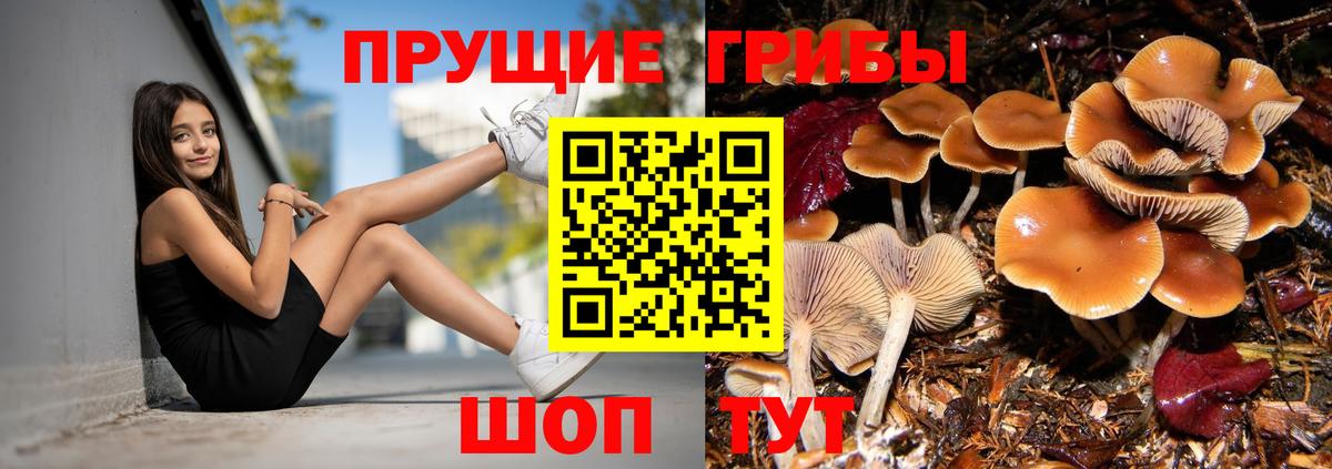 Сибай  Галлюциногенные грибы Magic Shrooms  закладка  Вход с VPN 